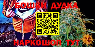 прущая мука Сланцы