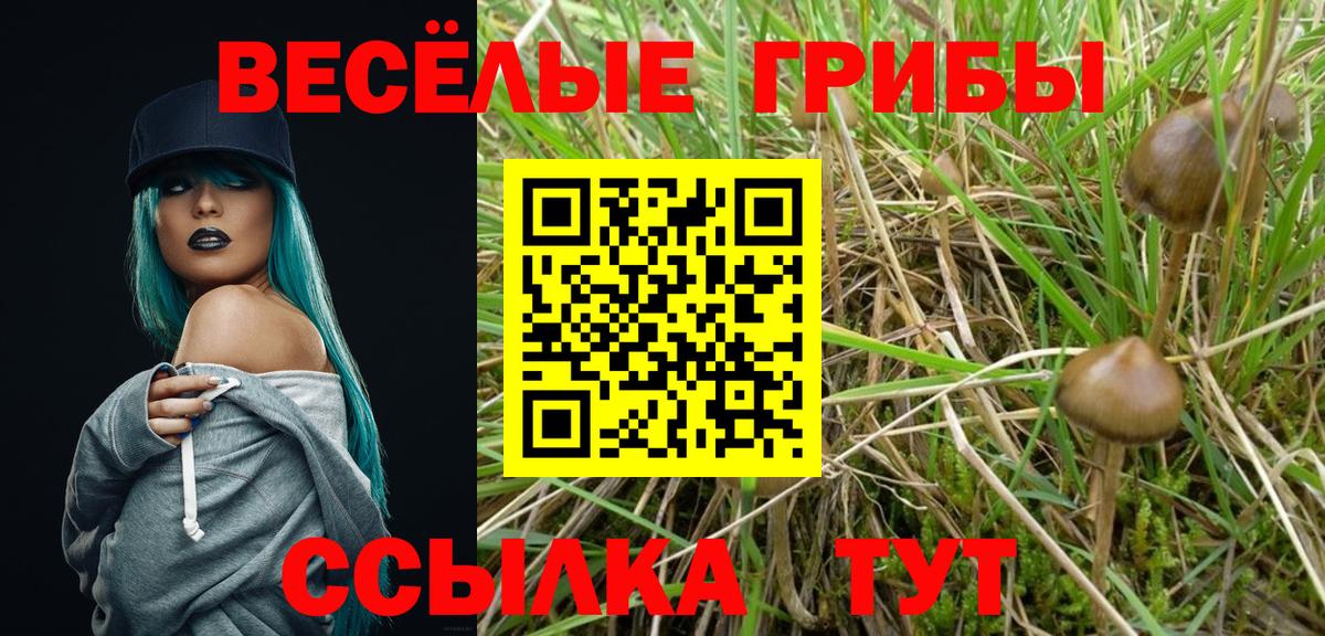 Галлюциногенные грибы GOLDEN TEACHER Пенза