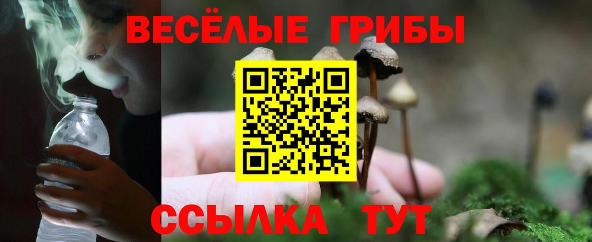Пенза  Псилоцибиновые грибы Cubensis  Вход с VPN  Псилоцибиновые грибы GOLDEN TEACHER 